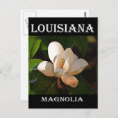 Louisiana Southern Magnolia Briefkaart (Voorkant / Achterkant)