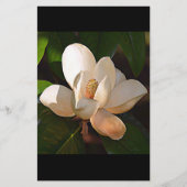 Louisiana Southern Magnolia Briefpapier (Voorkant)