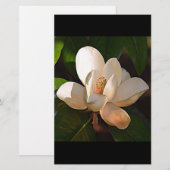 Louisiana Southern Magnolia Briefpapier (Voorkant / Achterkant)