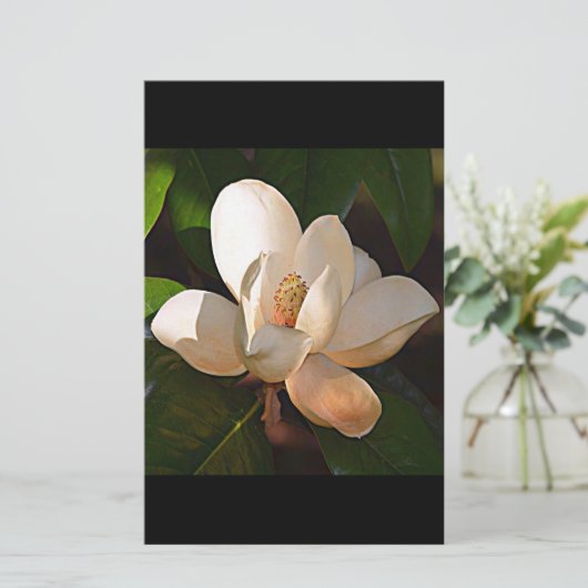 Louisiana Southern Magnolia Briefpapier (Staand voorkant)