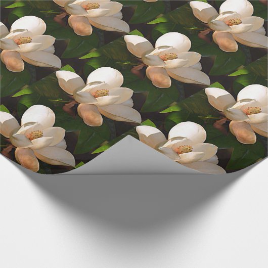 Louisiana Southern Magnolia Cadeaupapier (Hoek)