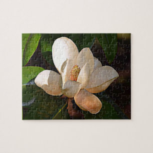 Louisiana Southern Magnolia Legpuzzel