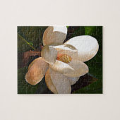 Louisiana Southern Magnolia Legpuzzel (Horizontaal)
