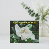 Louisiana staatsventilator: Magnolia Briefkaart (Staand voorkant)