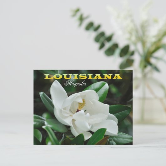Louisiana staatsventilator: Magnolia Briefkaart (Staand voorkant)