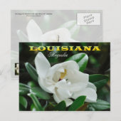 Louisiana staatsventilator: Magnolia Briefkaart (Voorkant / Achterkant)