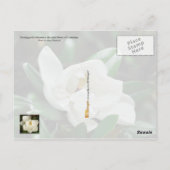 Louisiana staatsventilator: Magnolia Briefkaart (Achterkant)