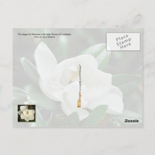 Louisiana staatsventilator: Magnolia Briefkaart (Achterkant)