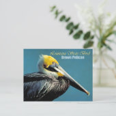 Louisiana State Bird - Brown Pelican Briefkaart (Staand voorkant)