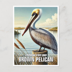 Louisiana State Bird Brown Pelican Briefkaart