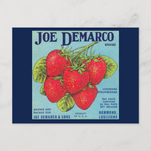 Louisiana Stawberry Crate Label Briefkaart