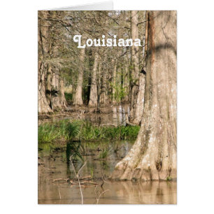 Louisiana Swamp