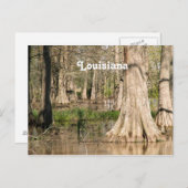 Louisiana Swamp Briefkaart (Voorkant / Achterkant)