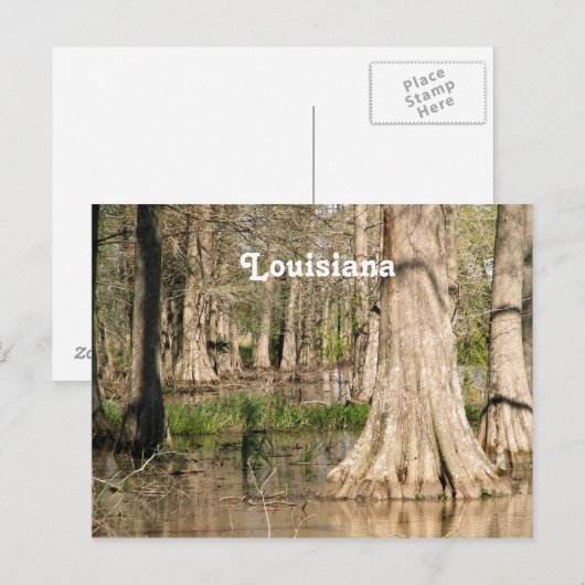 Louisiana Swamp Briefkaart (Voorkant / Achterkant)