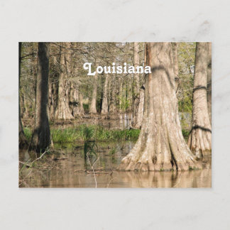 Louisiana Swamp Briefkaart
