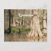 Louisiana Swamp Briefkaart (Voorkant)