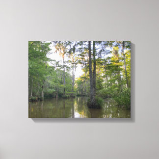 Louisiana Swamp Canvas Afdruk