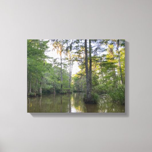 Louisiana Swamp Canvas Afdruk (Voorkant)