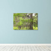 Louisiana Swamp Cypress Canvas Afdruk (Insitu (Houten vloer))