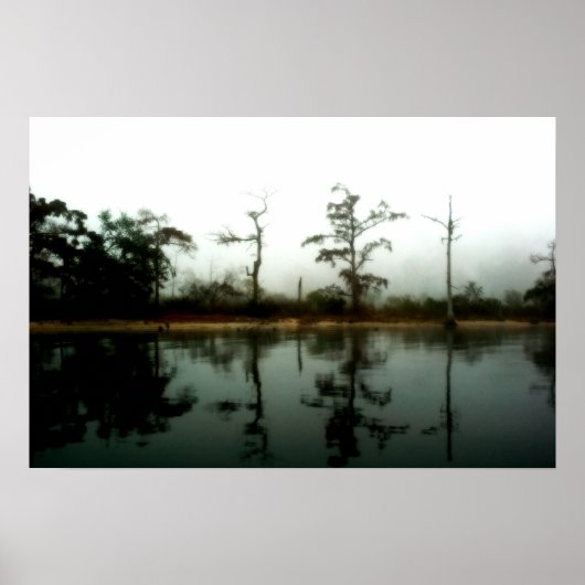 Louisiana Swamp Morning Poster (Voorkant)