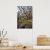 Louisiana Swamp poster (Keuken)