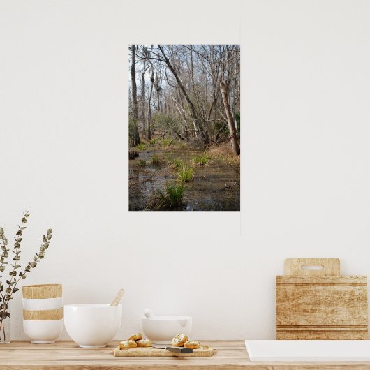 Louisiana Swamp poster (Keuken)