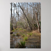 Louisiana Swamp poster (Voorkant)