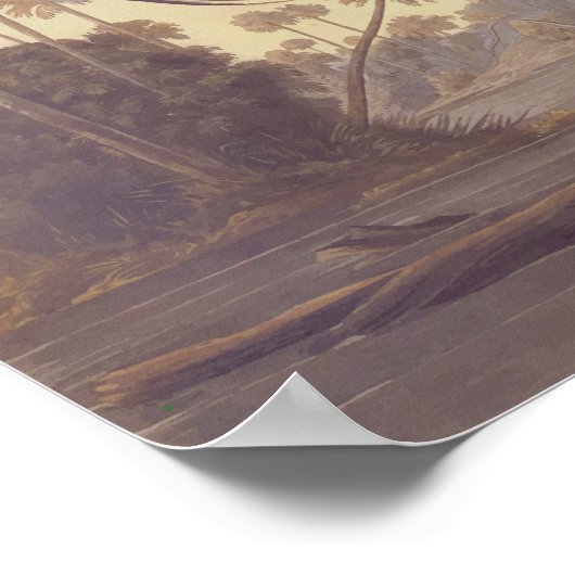 Louisiana Tricolored Heron Audubon  Art Poster (Hoek)