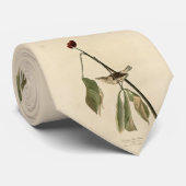 Louisiana Water Thrush, Amerikaanse vogels van Aud Stropdas (Opgerold)