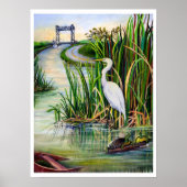 Louisiana Wetlands Poster (Voorkant)