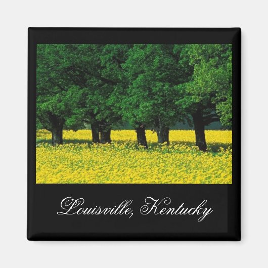 Louisville, Kentucky Magnet (Voorkant)