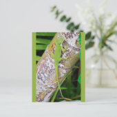 Lounge Lizard Green Gecko Briefkaart (Staand voorkant)