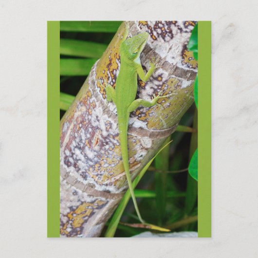 Lounge Lizard Green Gecko Briefkaart (Voorkant)
