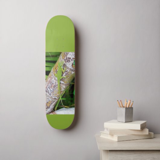 Lounge Lizard Green Gecko Persoonlijk Skateboard (Muurkunst)