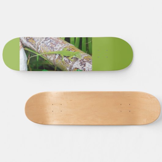 Lounge Lizard Green Gecko Persoonlijk Skateboard (Horizontaal)