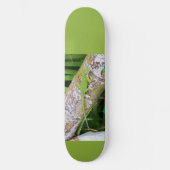 Lounge Lizard Green Gecko Persoonlijk Skateboard (Voorkant)