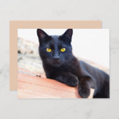 Loungen rond het briefkaart (Voorkant / Achterkant)