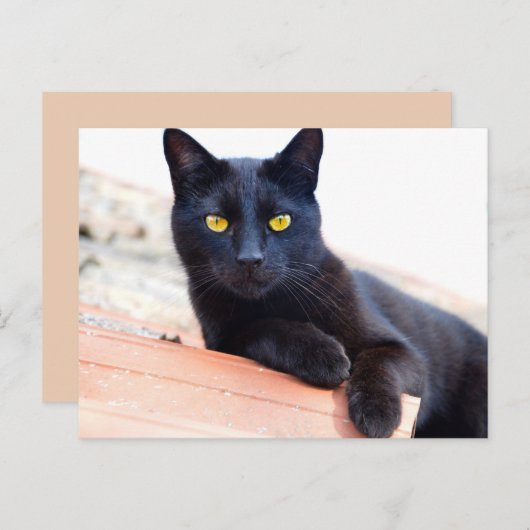 Loungen rond het briefkaart (Voorkant / Achterkant)