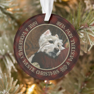 Loungen Westie op de bank Ornament