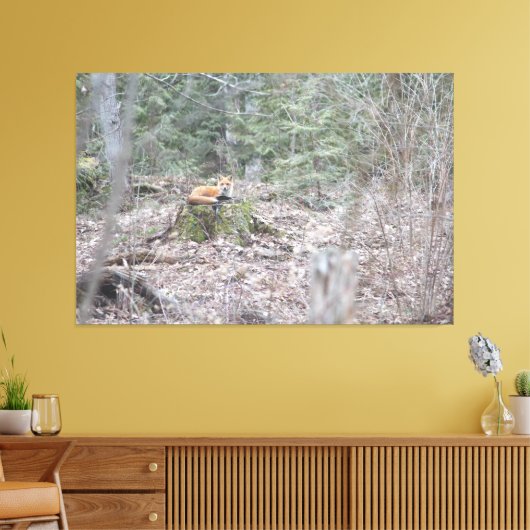 loungevos canvas afdruk (Insitu (Woonkamer))