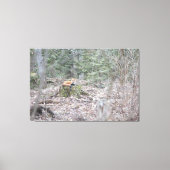 loungevos canvas afdruk (Voorkant)