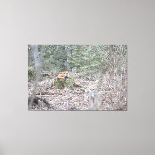 loungevos canvas afdruk