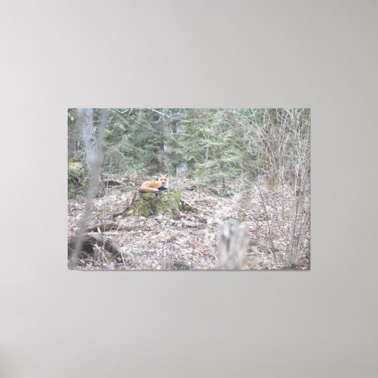 loungevos canvas afdruk (Voorkant)