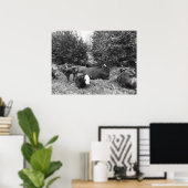 Lounging Cattle In Black and White Poster (Thuiskantoor)