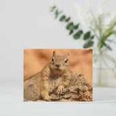 Lounging Chipmunk Briefkaart (Staand voorkant)