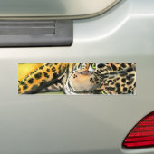 Lounging Leopard Bumpersticker (Op auto)