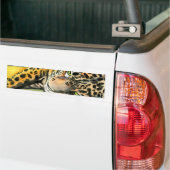 Lounging Leopard Bumpersticker (Op Truck)