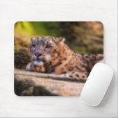 Lounging Leopard Muismat (Met muis)