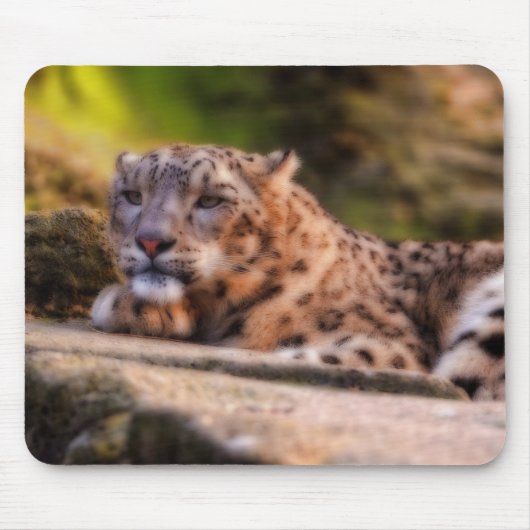 Lounging Leopard Muismat (Voorkant)