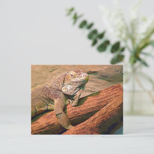 Lounging Lizard Briefkaart (Staand voorkant)
